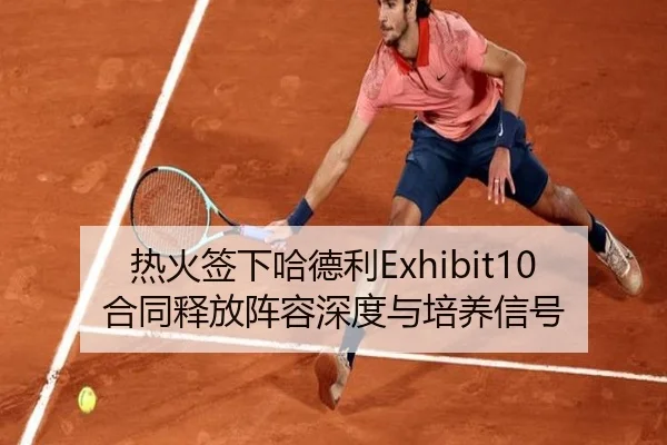 热火签下哈德利Exhibit10合同释放阵容深度与培养信号